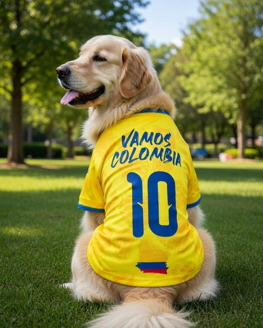 Camiseta Colombia
