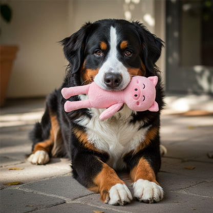 Cerdito Big