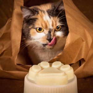 Torta fiesta gatos (Sobre pedido 2 días antes)