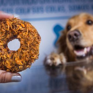 Donuts de ternera y zanahoria para perros