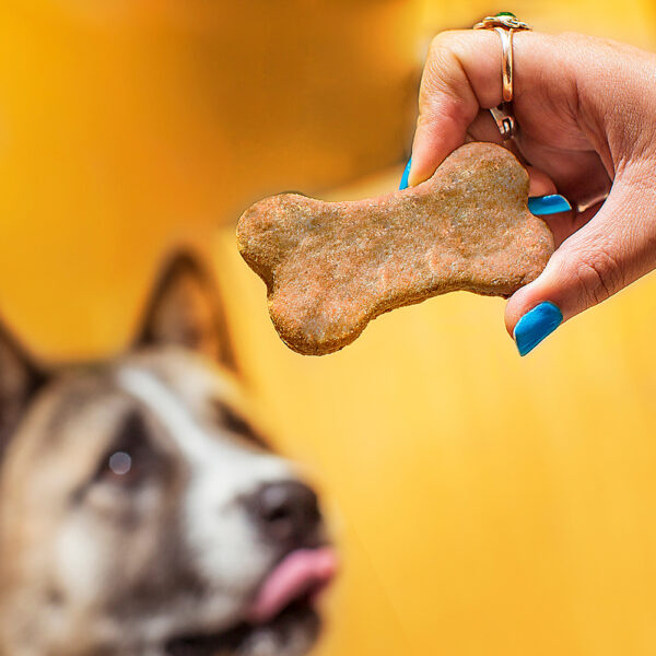 Galletas de Higado de Pollo